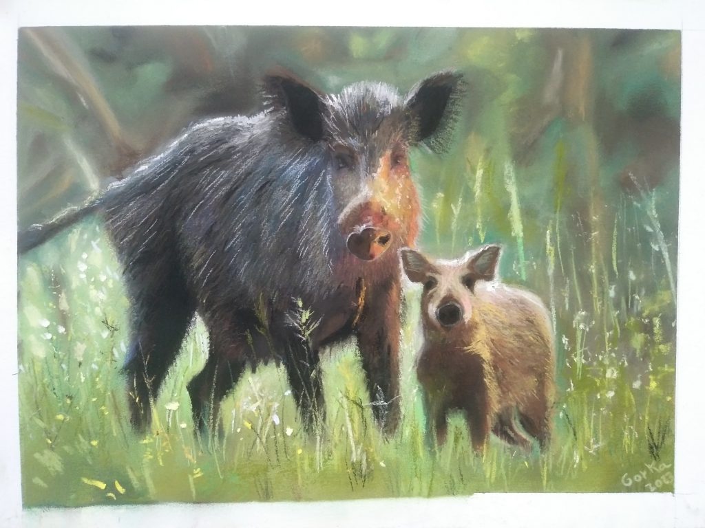 jabalies, última pintura de 2023, realizada en pastel.